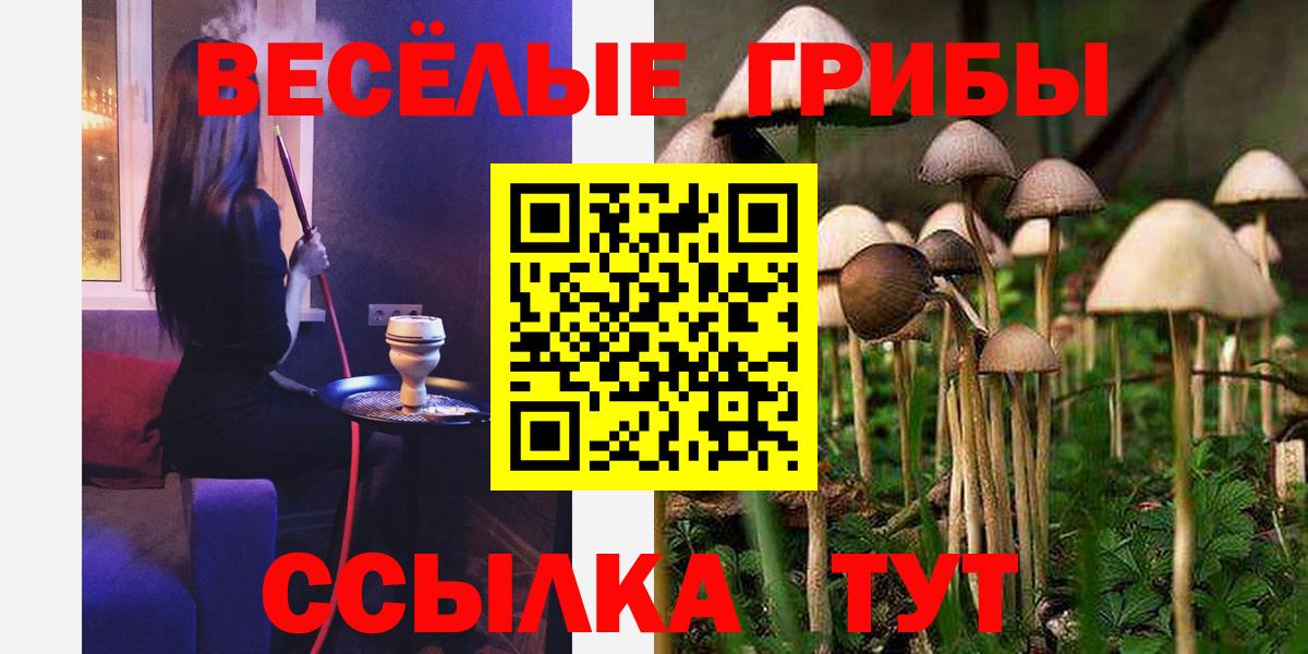 Псилоцибиновые грибы прущие грибы  Вход с VPN  Омск  Галлюциногенные грибы мицелий 